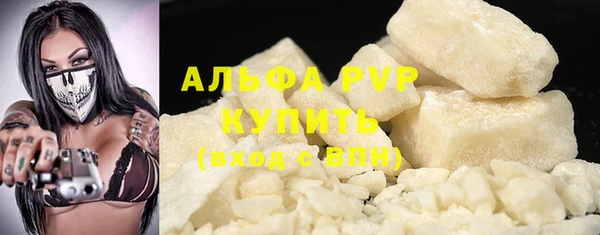 прущие грибы Белокуриха