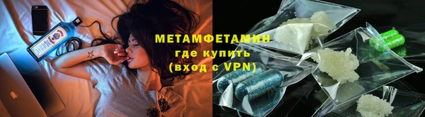 прущие грибы Белокуриха