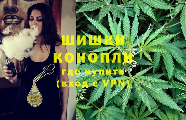 прущие грибы Белокуриха