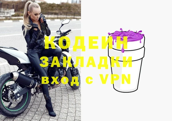 прущие грибы Белокуриха