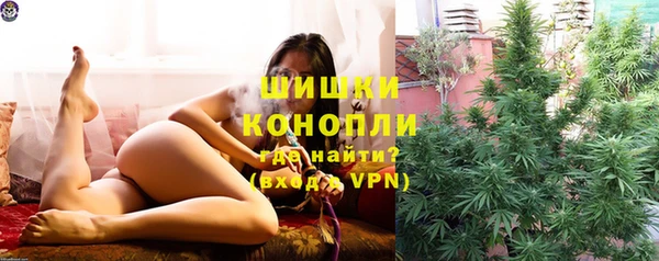 прущие грибы Белокуриха