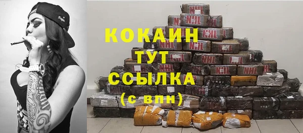 прущие грибы Белокуриха
