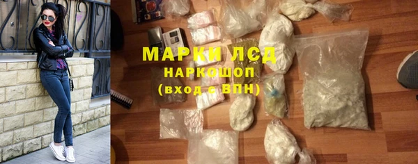 прущие грибы Белокуриха