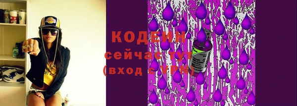 прущие грибы Белокуриха